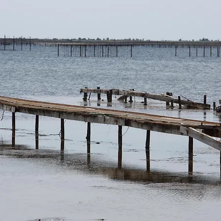 18m² Proche Des Thermes, Animaux Admis, Balcon - Fr-1-503-131 *